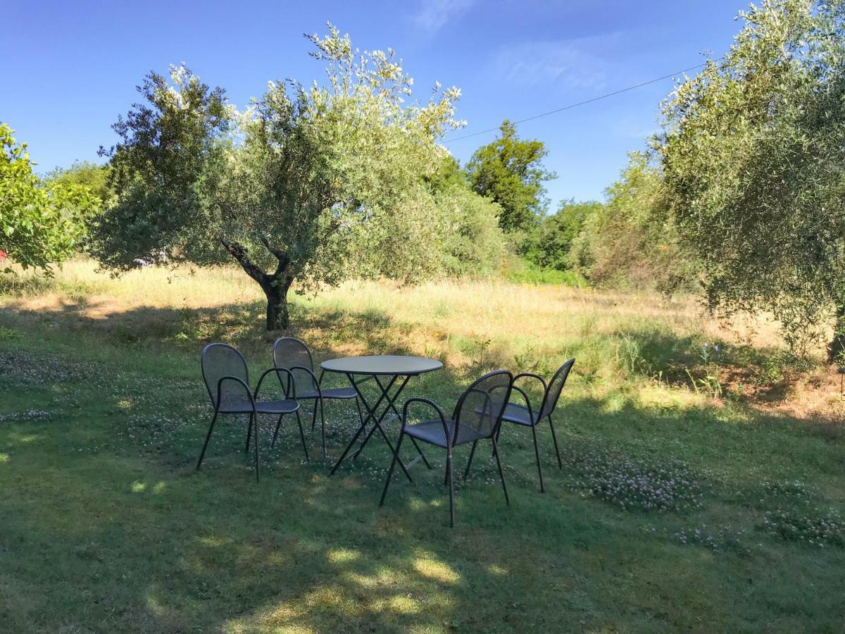 Agriturismo Testalepre 그레베 인 키안티 외부 사진